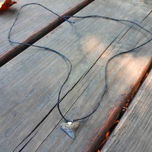 Adjustable Large Shark Tooth Necklace